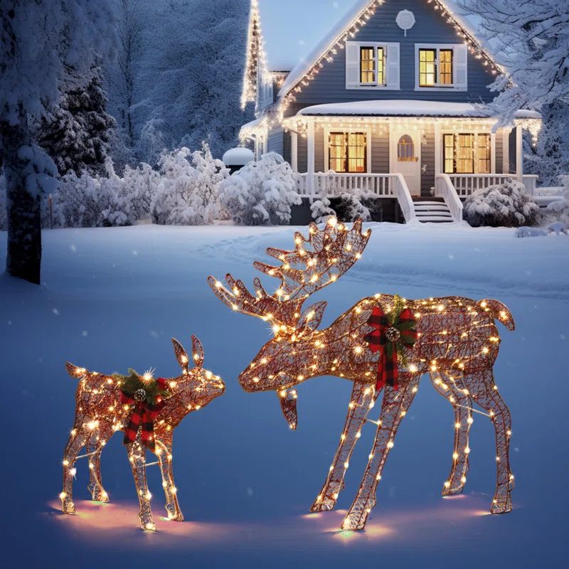 Jalyrica Moose Family Lighted Display Set Christmas Decoration | Wayfair North America