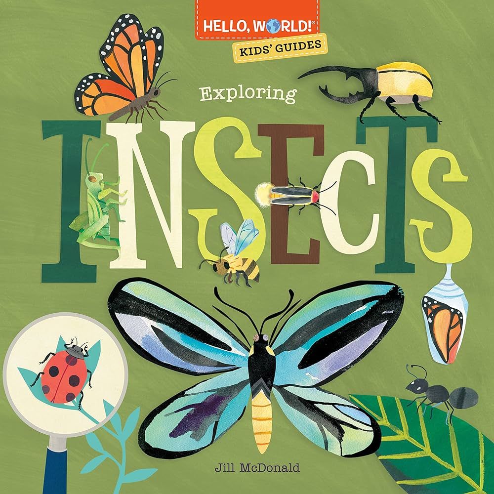 Hello, World! Kids' Guides: Exploring Insects | Amazon (US)