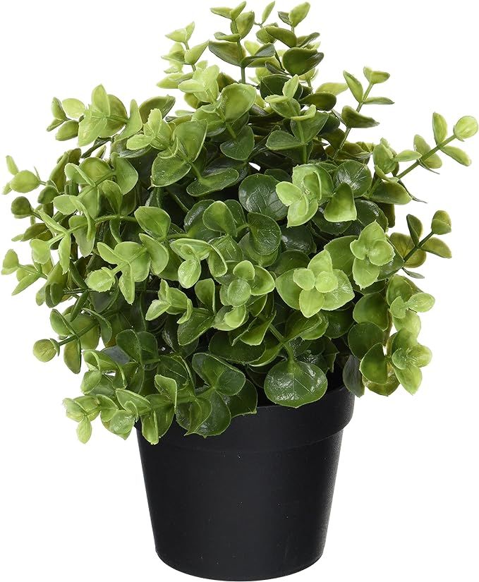 Ikea Artificial Potted Plant, Jade, 9.5 Inch | Amazon (US)
