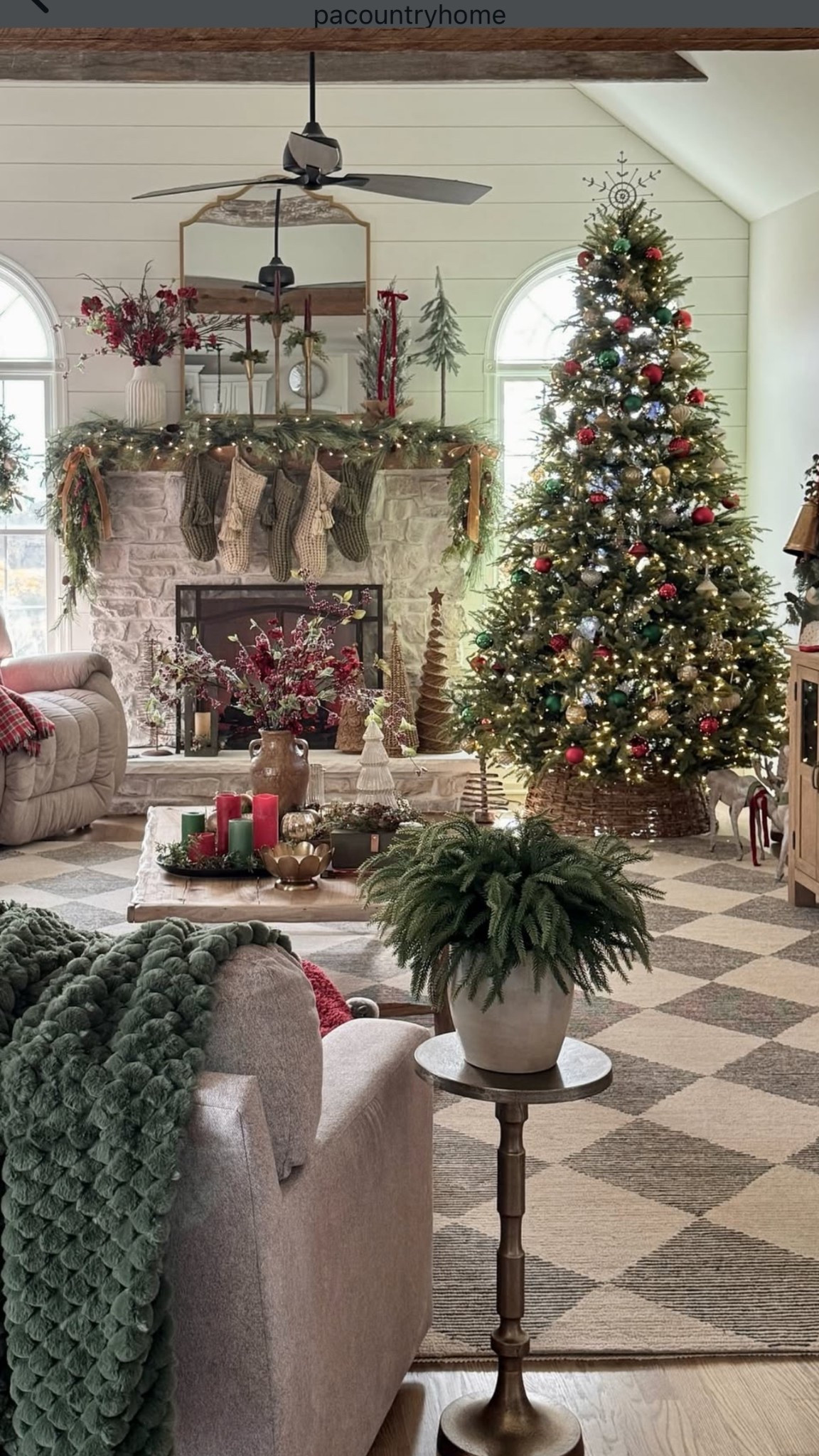 My Norfolk pine branches (16 pcs) are currently on sale for a limited time, less than $1 per stem. The best price I’ve seen all season! Other sales; area rug, accent table, Christmas tree and decor, throw pillow covers and more  