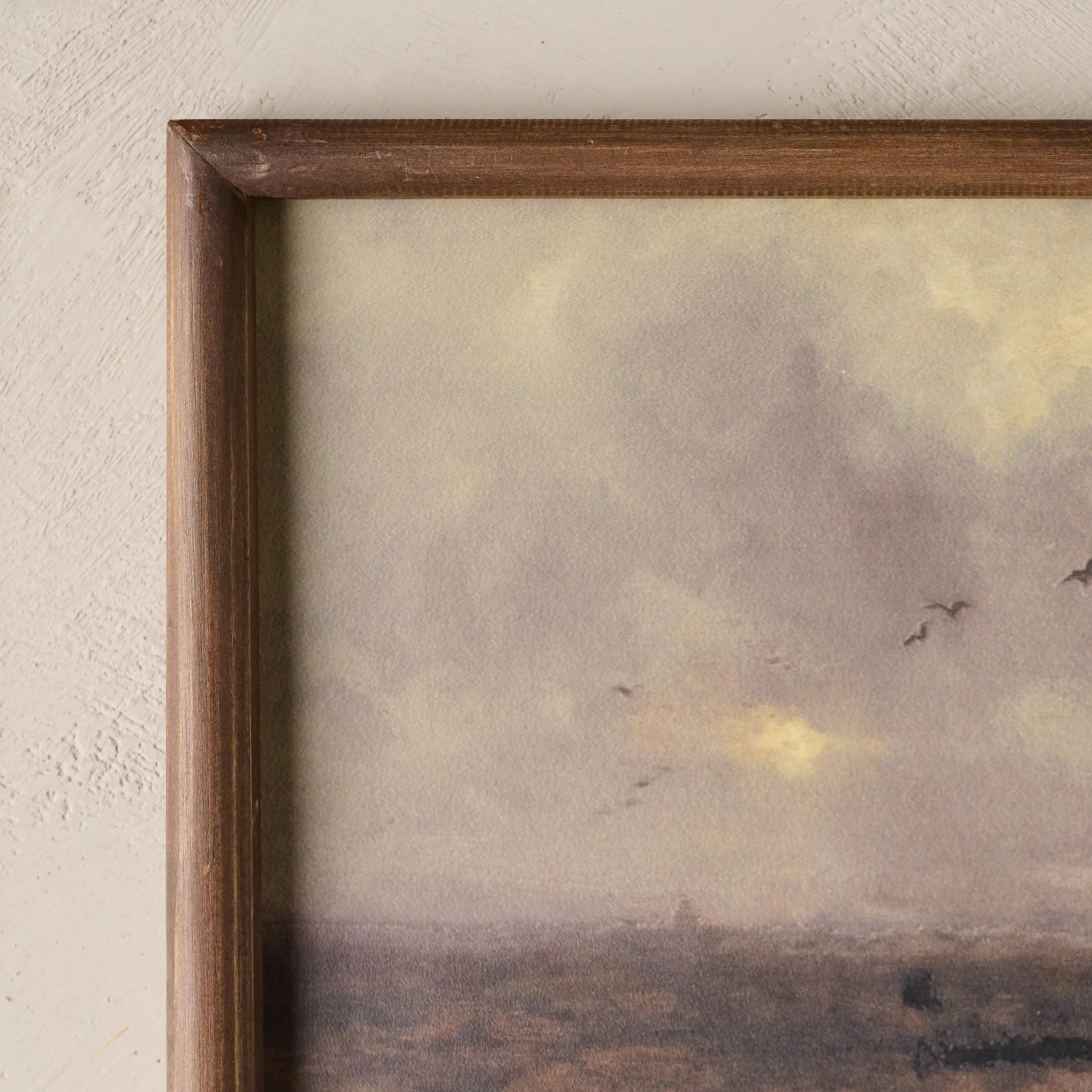 Echoes in the Reeds | Magnolia