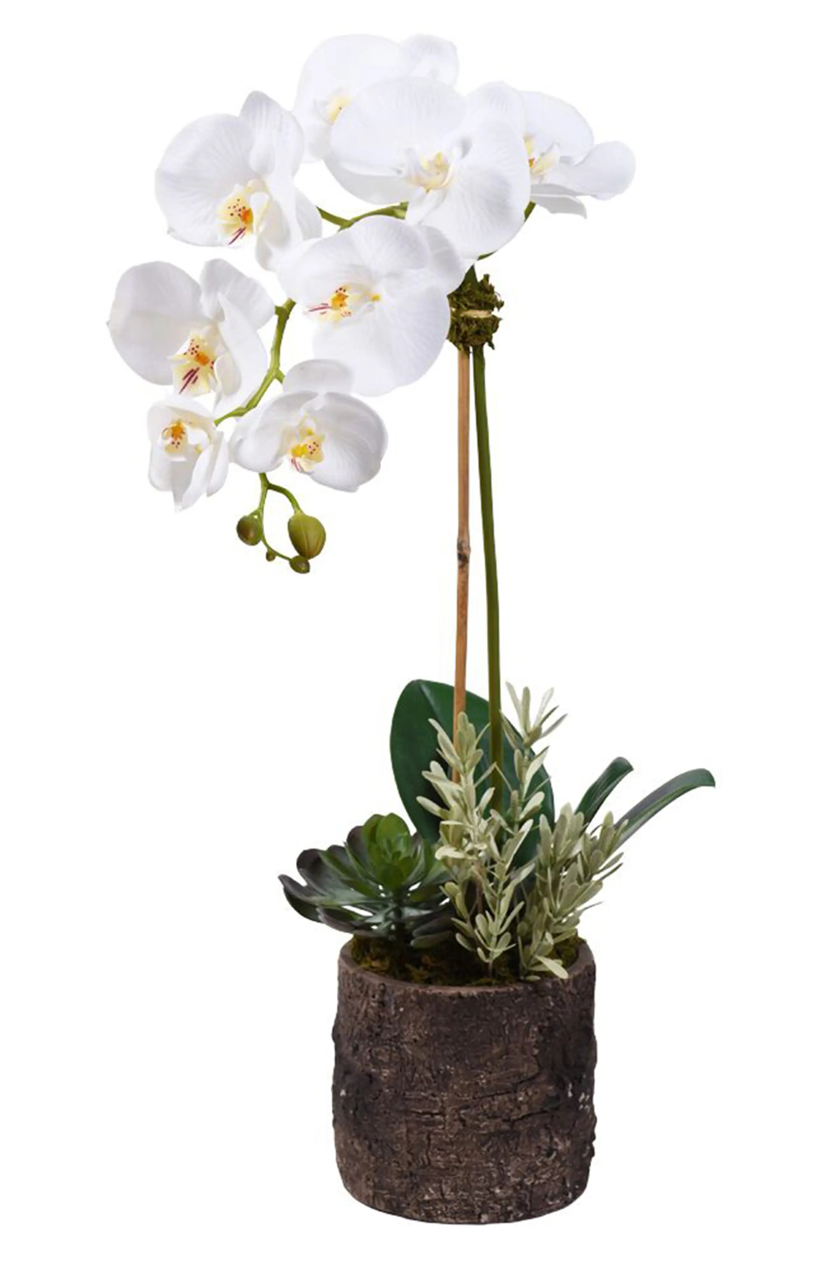 Bloomr Big Sur Orchid Arrangement Planter Decoration, Size Medium - Green | Nordstrom