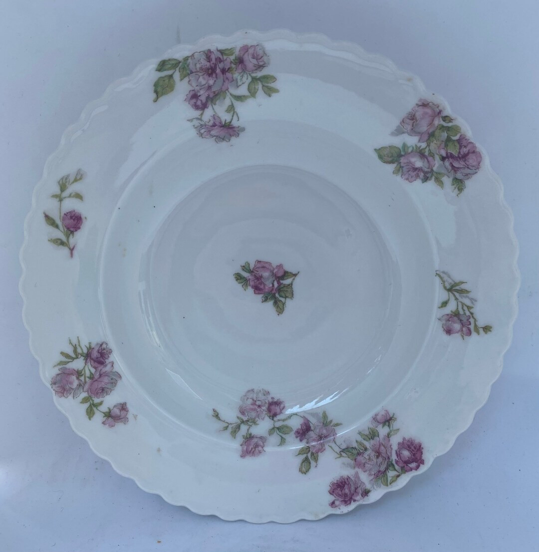 Royal Austria O&EG Fine Bone White China Rimmed Soup Bowls - Etsy | Etsy (US)