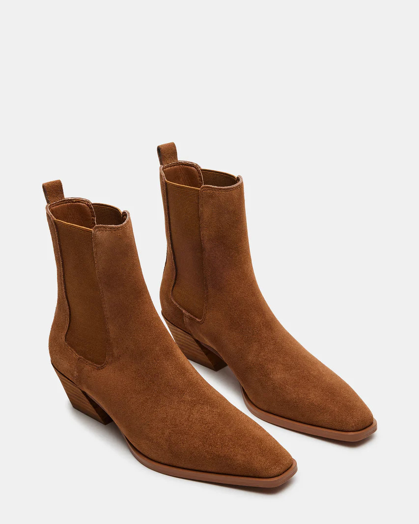 Evan Chestnut Suede | Steve Madden (US)