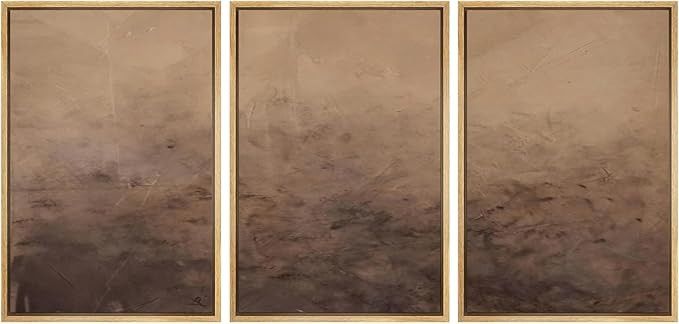 MUDECOR Framed Canvas Print Wall Art Minimalist Earthy Neutral Brown Abstract Illustrations Reali... | Amazon (US)