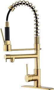 Delle Rosa Kitchen Faucet, Brushed Gold Kitchen Faucet, Brass 360 Swivel High Arch Pre-Rinse Pull... | Amazon (US)