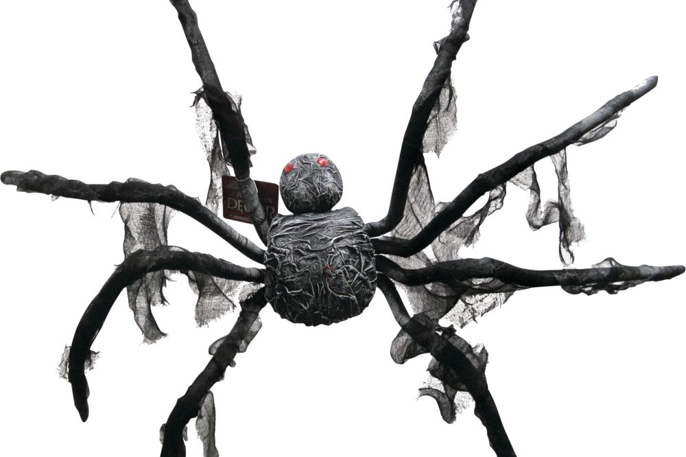 Spider Poseable Prop, Black, 35-in, Indoor/Outdoor Decoration for Halloween | Canadian Tire