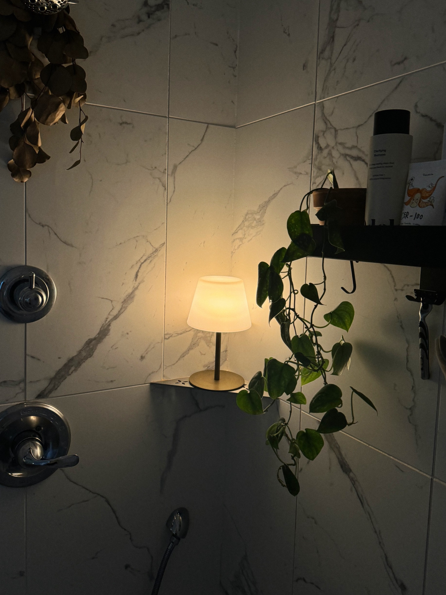 shower lamp 

#LTKHome #LTKFindsUnder50