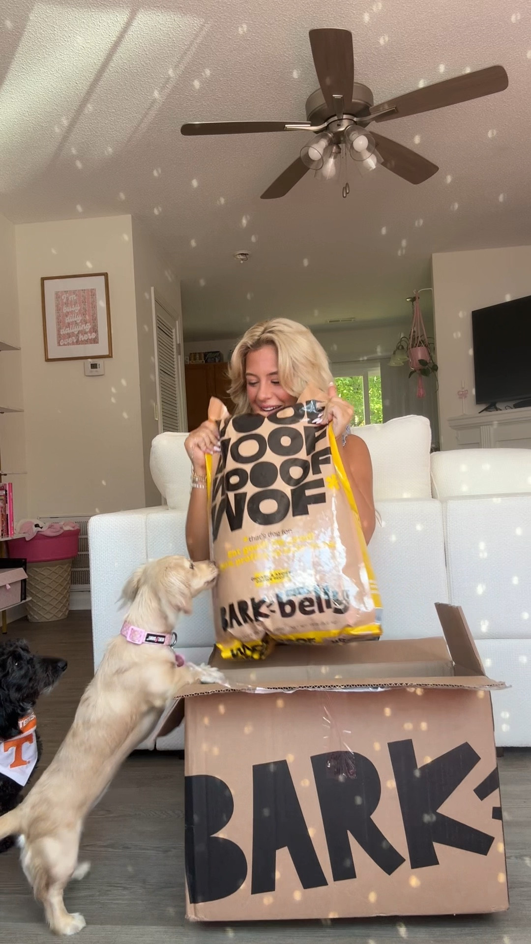 Introducing the brand new co-owned dog food! Bark in the belly! My dogs love it for so many reason, such as real chicken in the #1 ingredient, helps with their digestive system, hip and joints, immune system, and much more! 🐾🤍  #barkpartner #barkoowned #shopdog #ad #liketkit @bark 