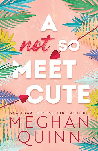 A Not So Meet Cute (Cane Brothers, 1)     Paperback – November 14, 2023 | Amazon (US)