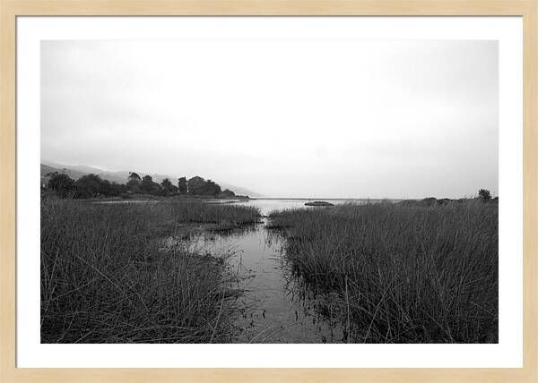 Malibu Lagoon Framed Print | Fine Art America