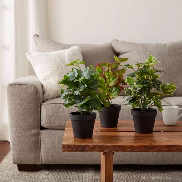 Artificial Foliage Plant in Planter (Set of 3) | Wayfair North America
