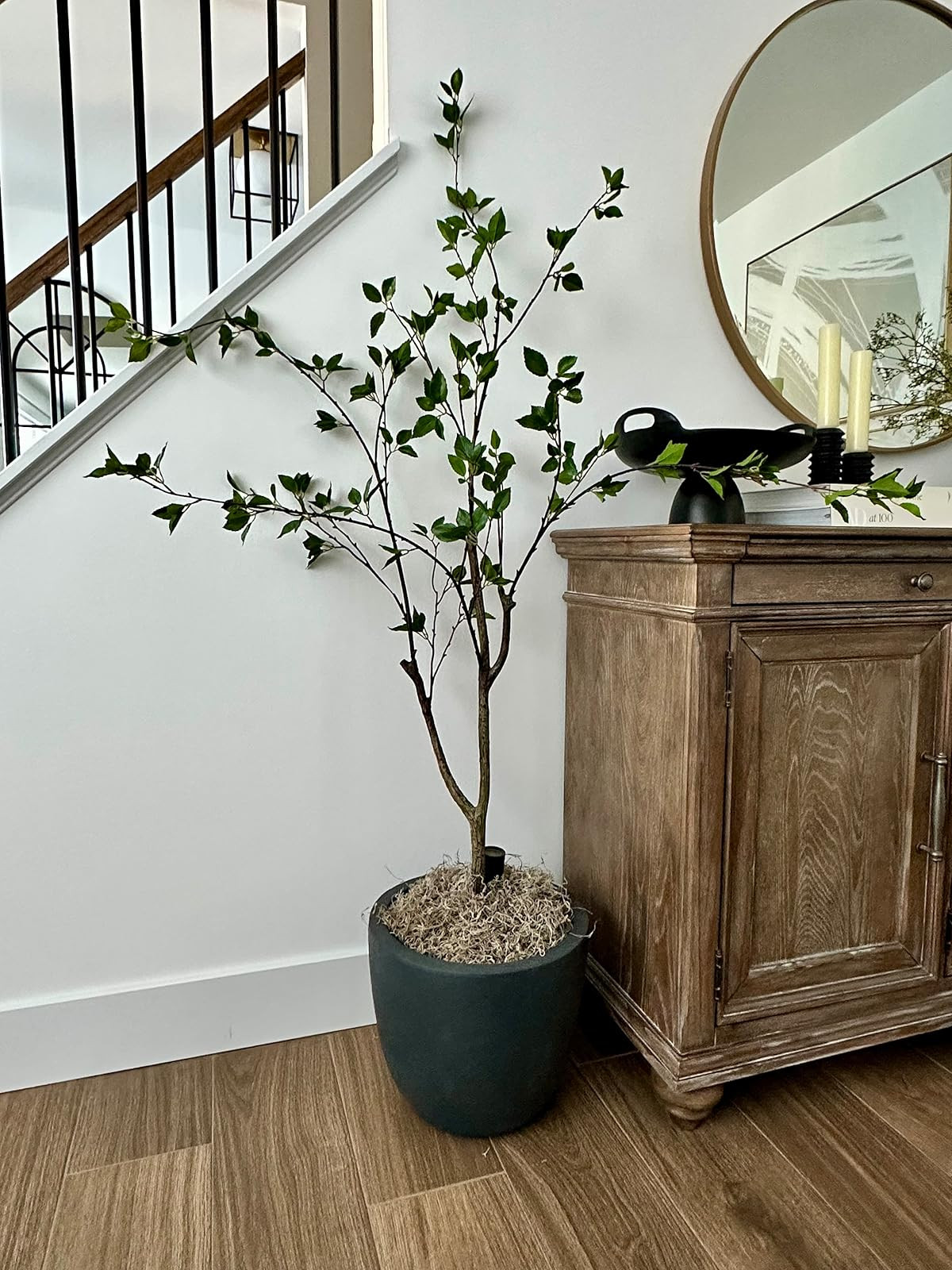 Citrus tree in modern planter. Kante planter. Organic home decor. | Amazon (US)