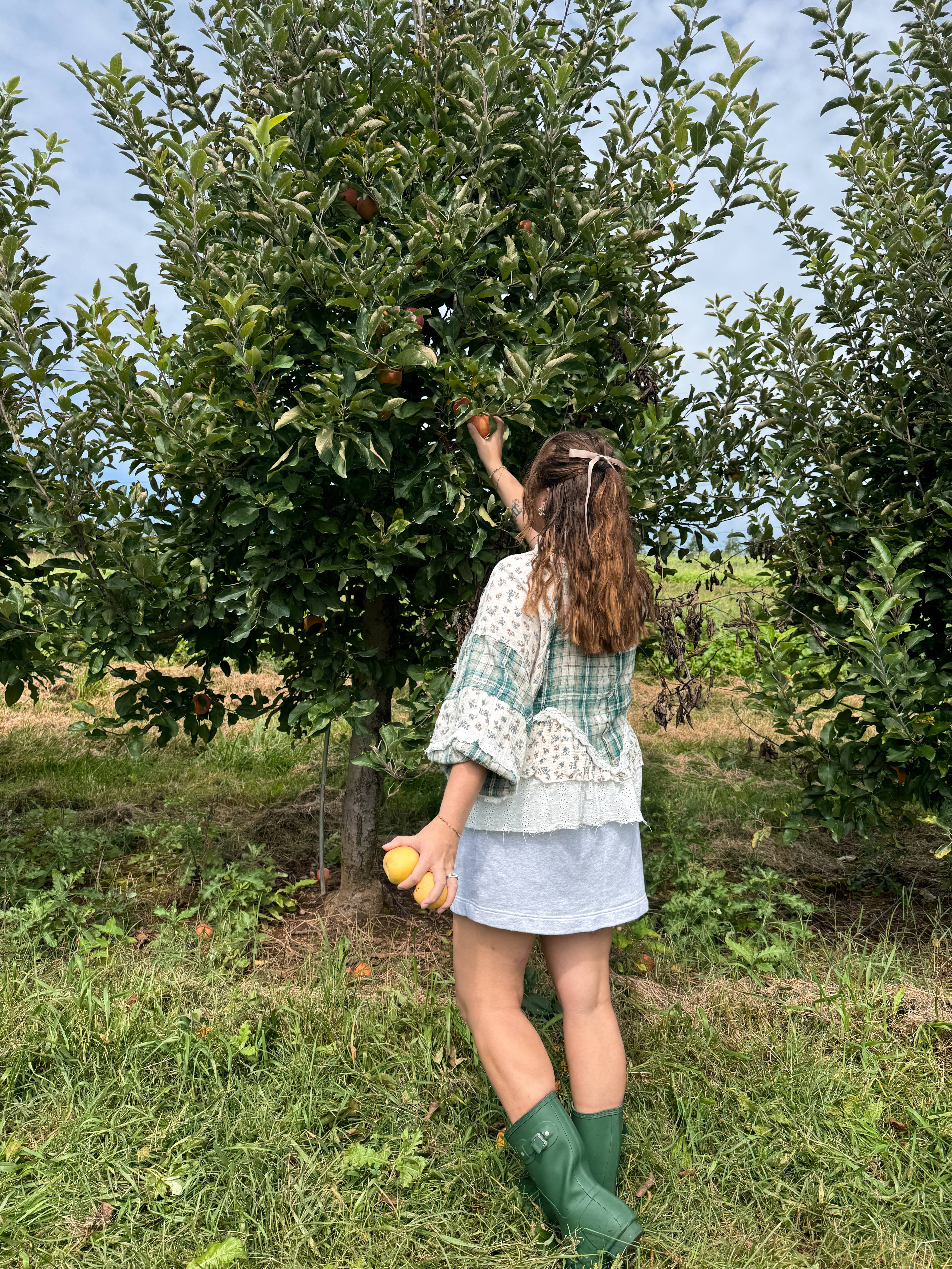 Today's apple picking outfit. This adorable plaid and lace ruffle blouse is perfect for the occassion. I went true to size.

The sweatshirt skirt is also true to size and helps keep this fall outfit a bit more casual.

I added short green hunter boots to compliment the green in the top and prevent my feet and shoes from getting muddy. These are also true to size. 

 #LTKootd #LTKSeasonal #LTKSaleAlert