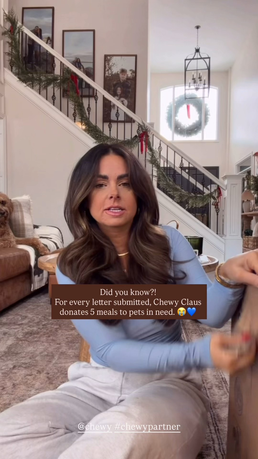 Chewy cyber deals are live. Up to 50% off select toys, beds, and essentials + Buy 2, Get the 3rd Free. @chew #chewypartner 