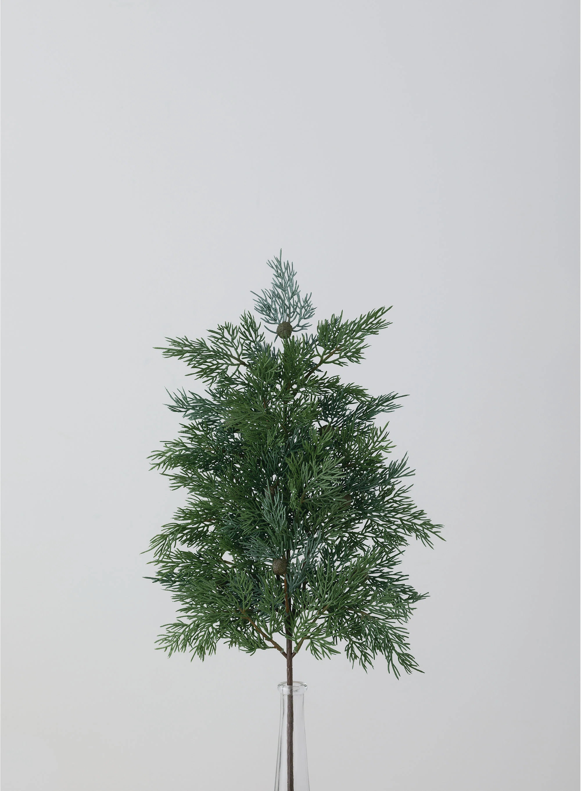 The Holiday Aisle® Cedar Spray | Wayfair | Wayfair North America