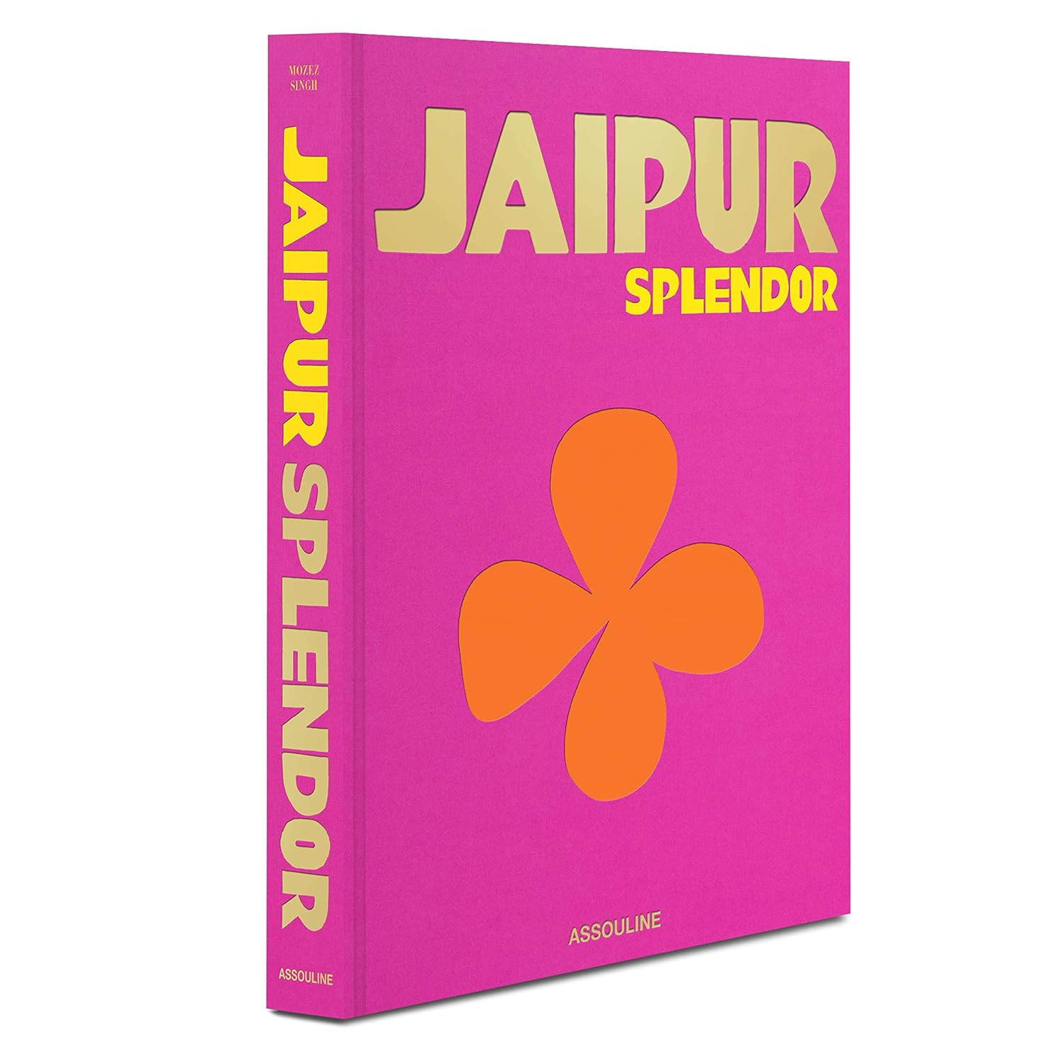 Jaipur Splendor - Assouline Coffee Table Book | Amazon (US)
