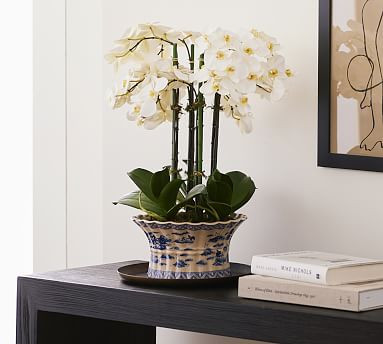 Faux Orchid Phalaenopsis in Pot | Pottery Barn (US)