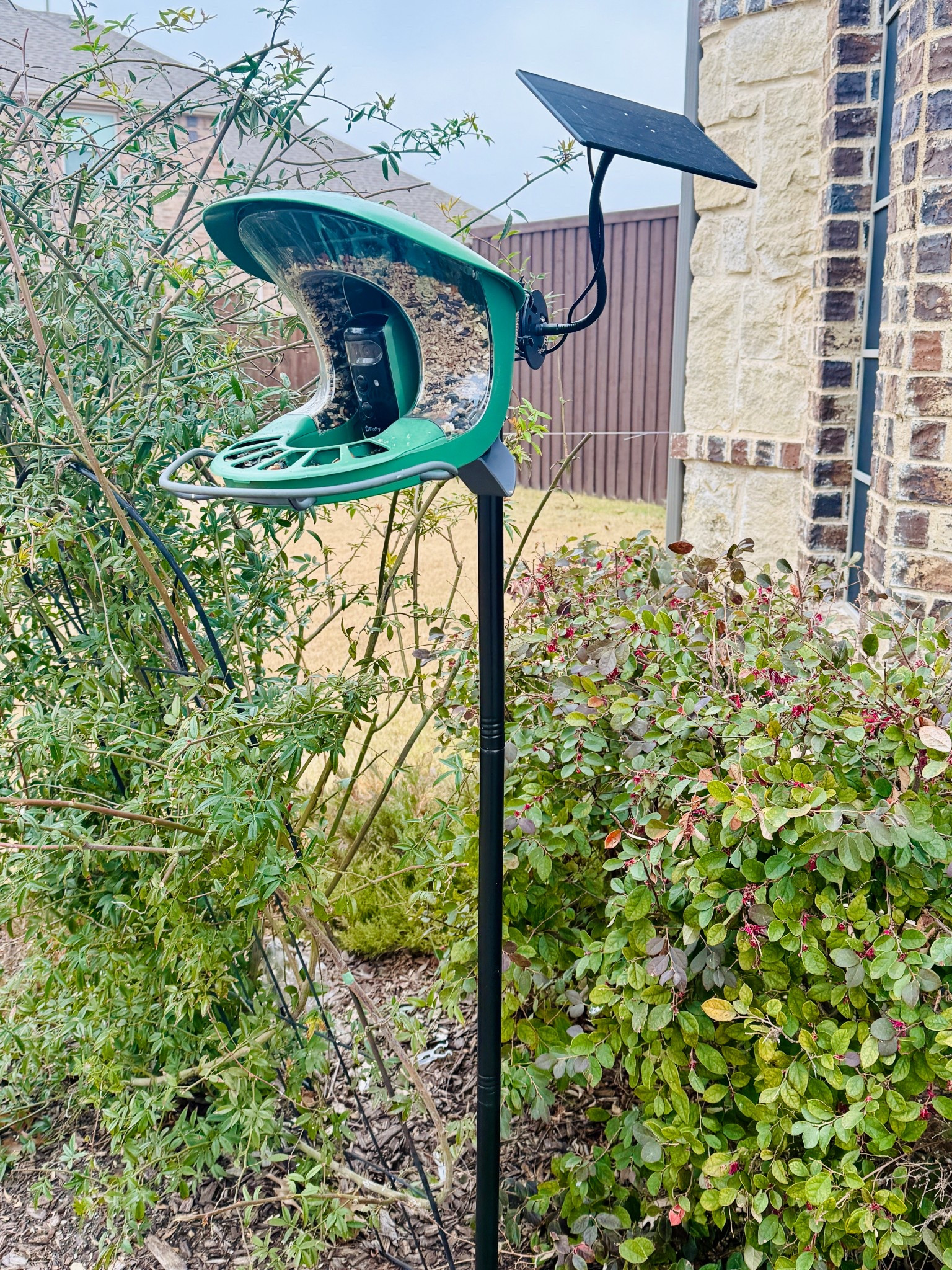 Welcome to my Bird Cam 😆 I have a Birdfy feeder with camera, a pole for it to stand on, and the birdseed I used!

#LTKOver40 #LTKHome