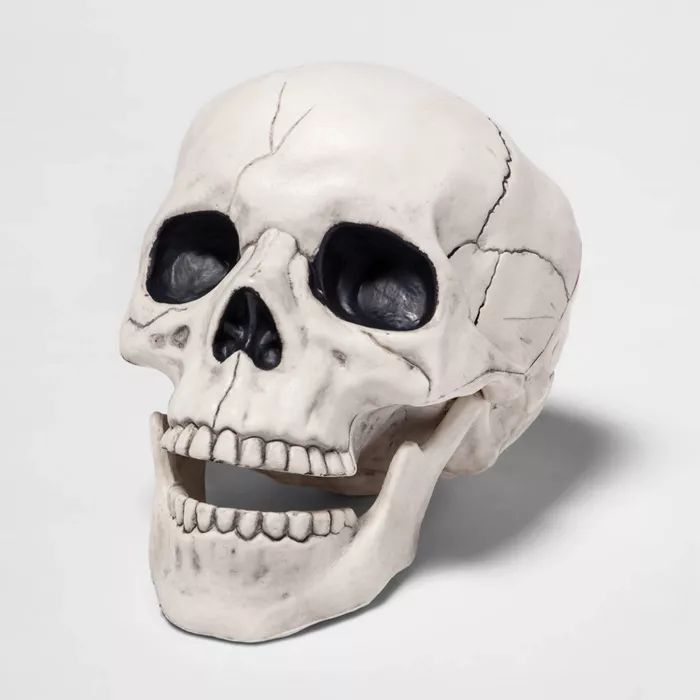 Skull Halloween Decorative Prop - Hyde &#38; EEK! Boutique&#8482; | Target