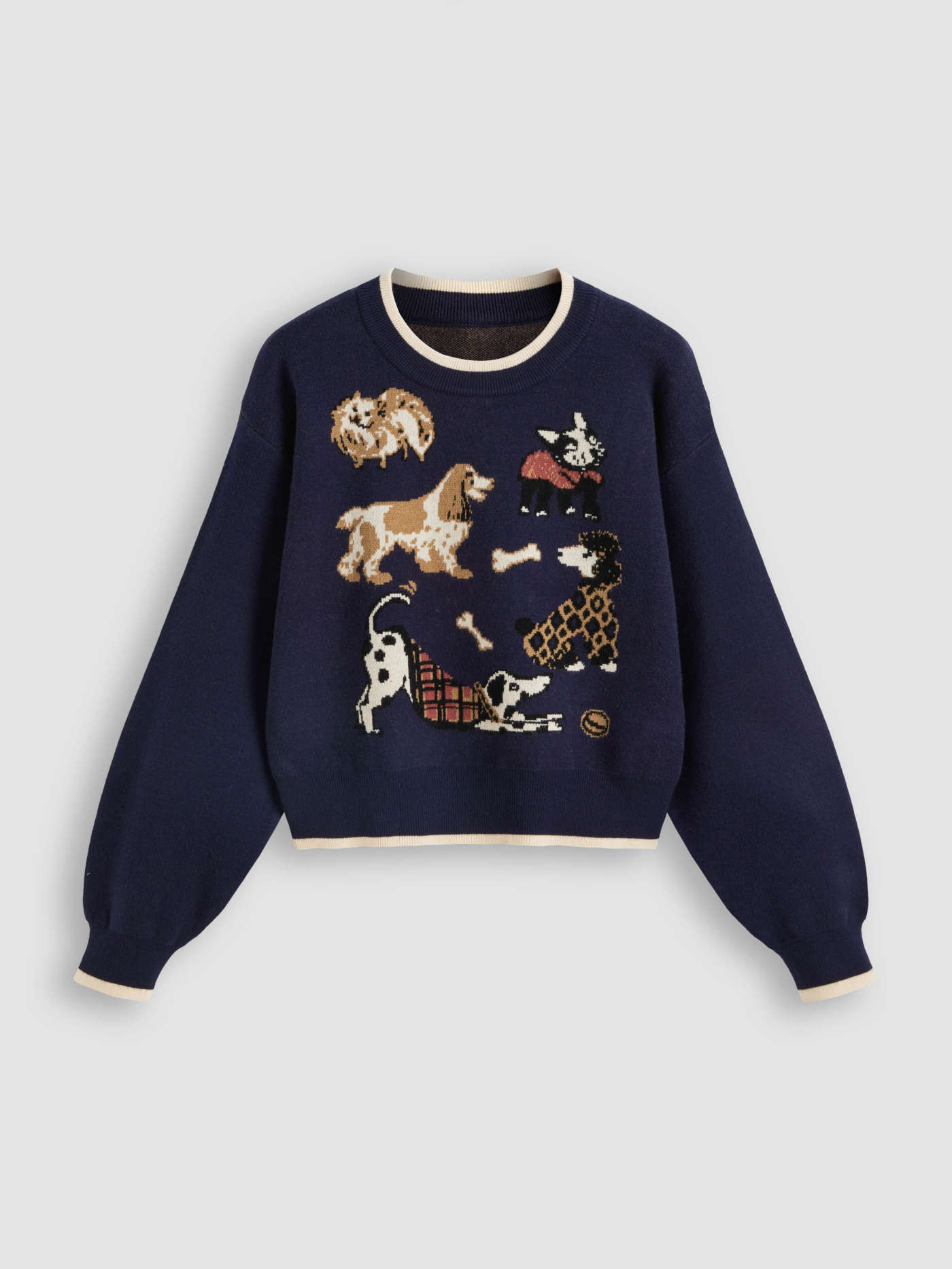 Countryside Core Knit Fabric Knit Round Neck Puppy Contrasting Binding Cropped Sweater For School... | Cider