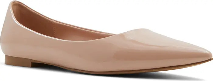 ALDO Stessy Pointed Toe Flat (Women) | Nordstrom | Nordstrom