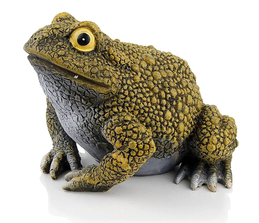 Frog Toad Sculptures Garden Statues Yard Art Resin Decorations Outdoor Outdoor Toad Figurine for ... | Amazon (US)