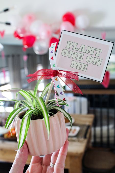 Valentines Day Gifts for the plant lover! #valentinesday #gift

#LTKFind #LTKhome #LTKfamily