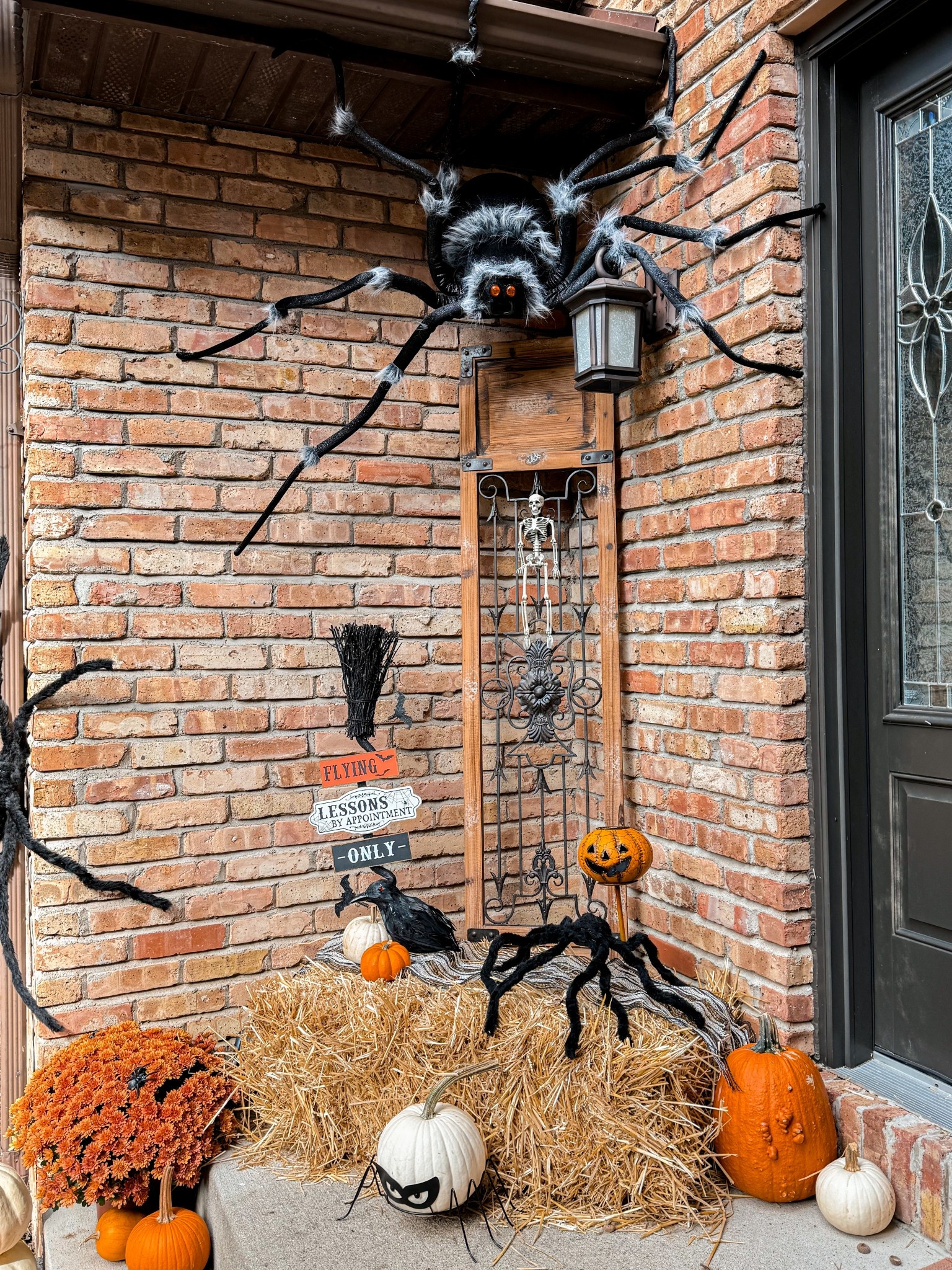 Love this giant spider! 

#LTKFindsUnder50 #LTKSeasonal #LTKHalloween
