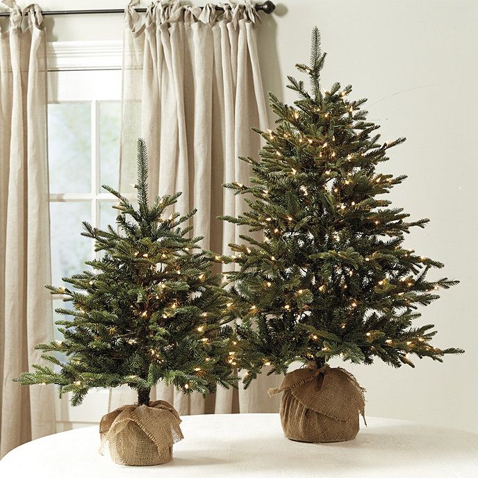 Suzanne Kasler Frasier Fir Tabletop Tree | Ballard Designs | Ballard Designs, Inc.