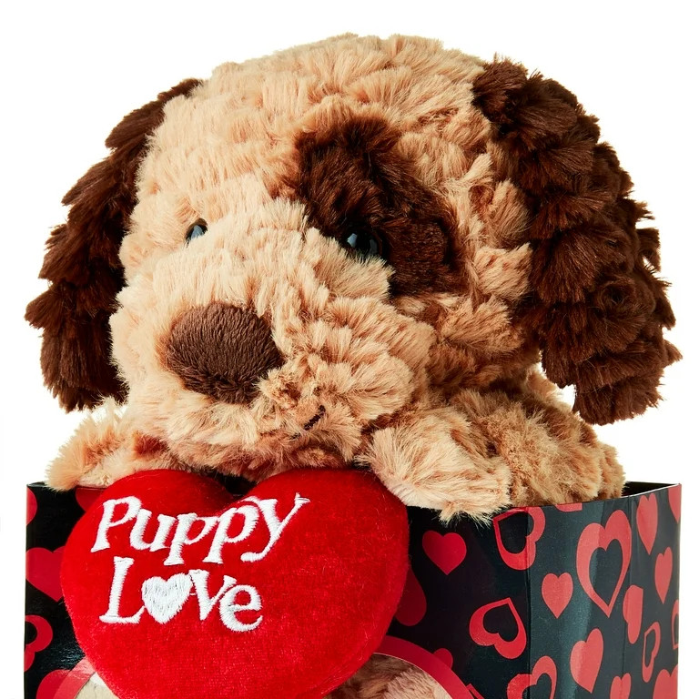 Valentine's Day Plush Gift, Puppy, by Way To Celebrate | Walmart (US)
