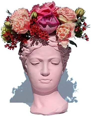 Greek/Roman Female Statue Head Planter in Distressed Pink, Cement Woman Face Pot for Indoor Outdo... | Amazon (US)