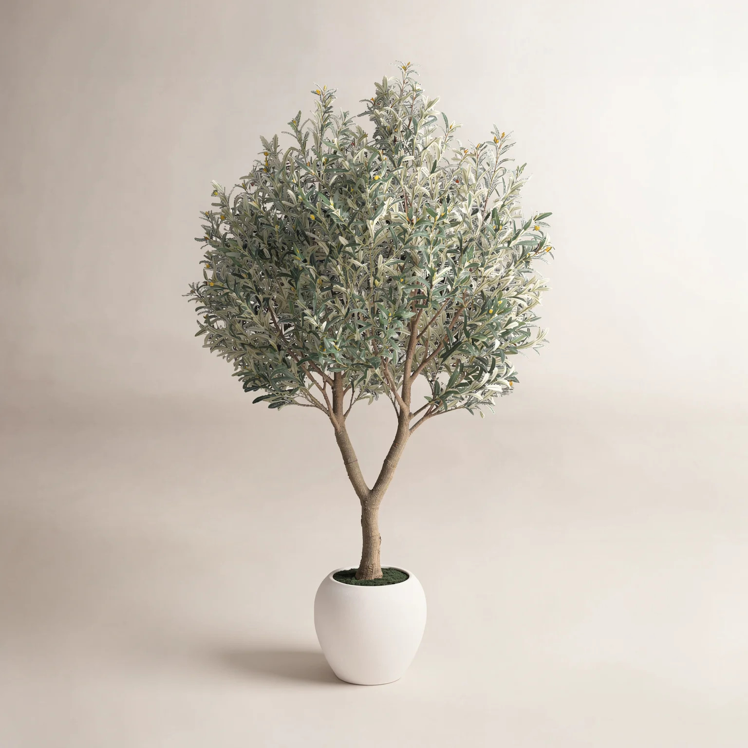 8FT Artificial Olive Tree - Tall Artificial Olive Tree As A Realistic Artificial Olive Tree, Silk Olive Tree Style, Faux Olive Tree With Planter - 420 | Wayfair North America