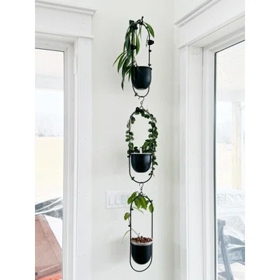2 Pack Hanging Planters For Indoor Plants With 5.5" Pot + Ceiling Hook | Black Hanging Planter, Metal Plant Hanger, NO Plant Incld | Wayfair North America