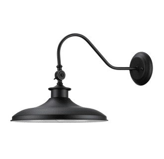 Globe Electric 44095 Black Aedan Single Light 13" Wide Wall Sconce with Gooseneck Arm and Swivel ... | Build.com, Inc.