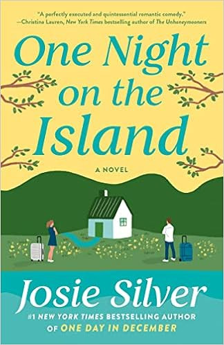 One Night on the Island: A Novel | Amazon (US)