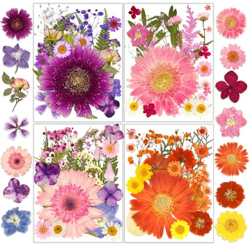 Dried Pressed Flowers, Resiners Dried Flowers for Candle Making Real Natural Pressed Flowers Dry Leaves Kit for DIY Crafts Resin Soap Scrapbook Card Making Jewelry (Gerbera Daisy 100pcs) | Amazon (US)