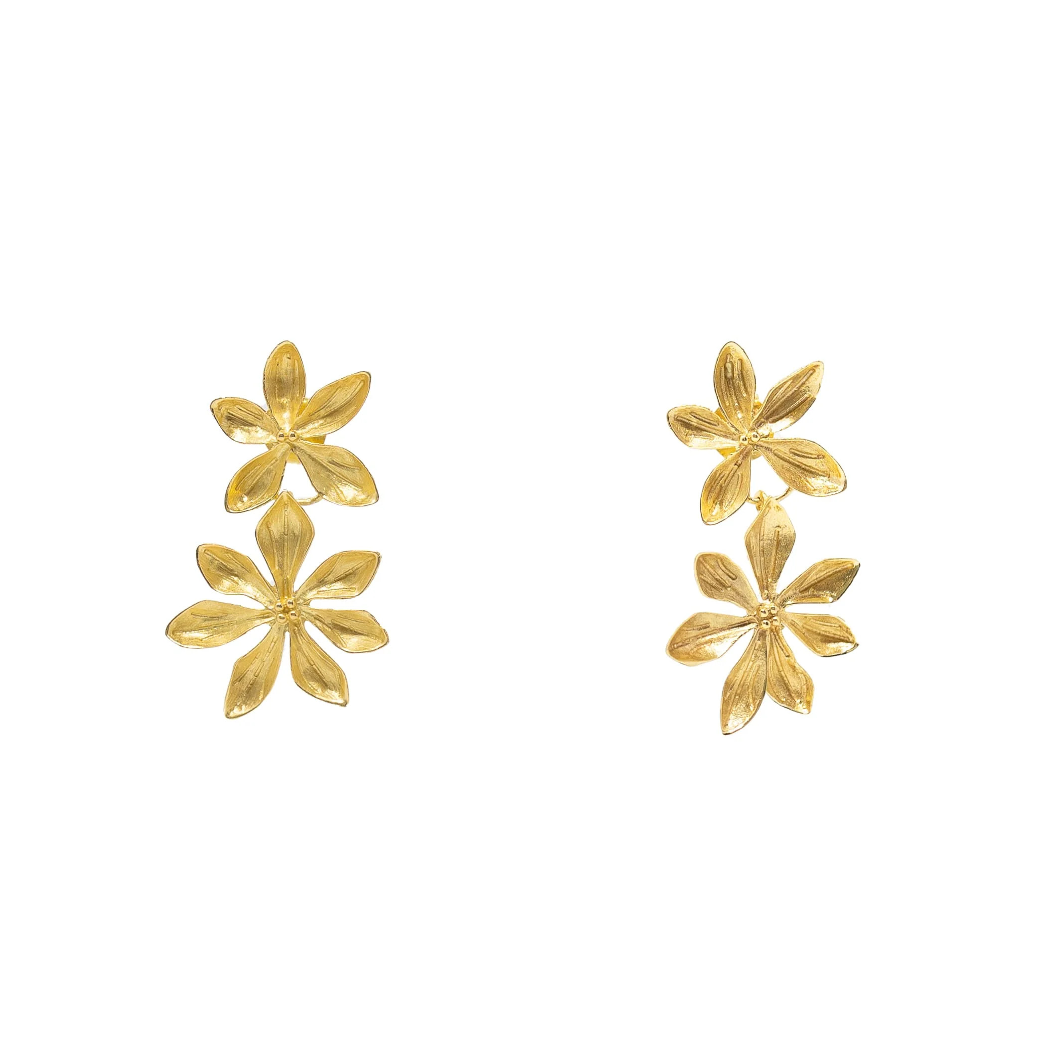 THE HYACINTH | Modafleur