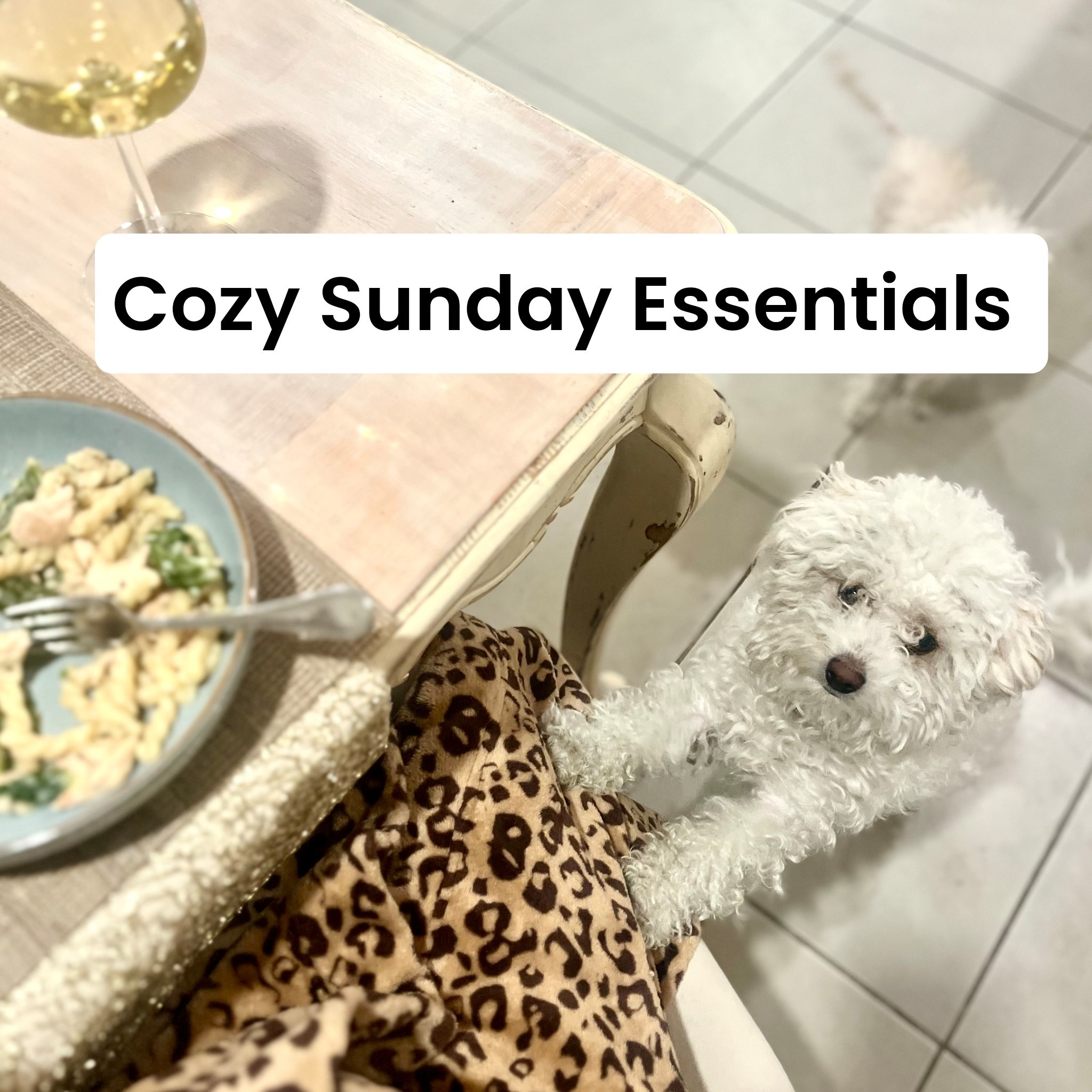 It’s been cold and rainy all weekend long here in Vegas. Tonight I’m cozy at home in my favorite leopard robe having dinner with my furry friends. #cozy #selfcare #nighttimerituals #loungewear #robes

#LTKdayinmylife #LTKselfcare #LTKmomlife