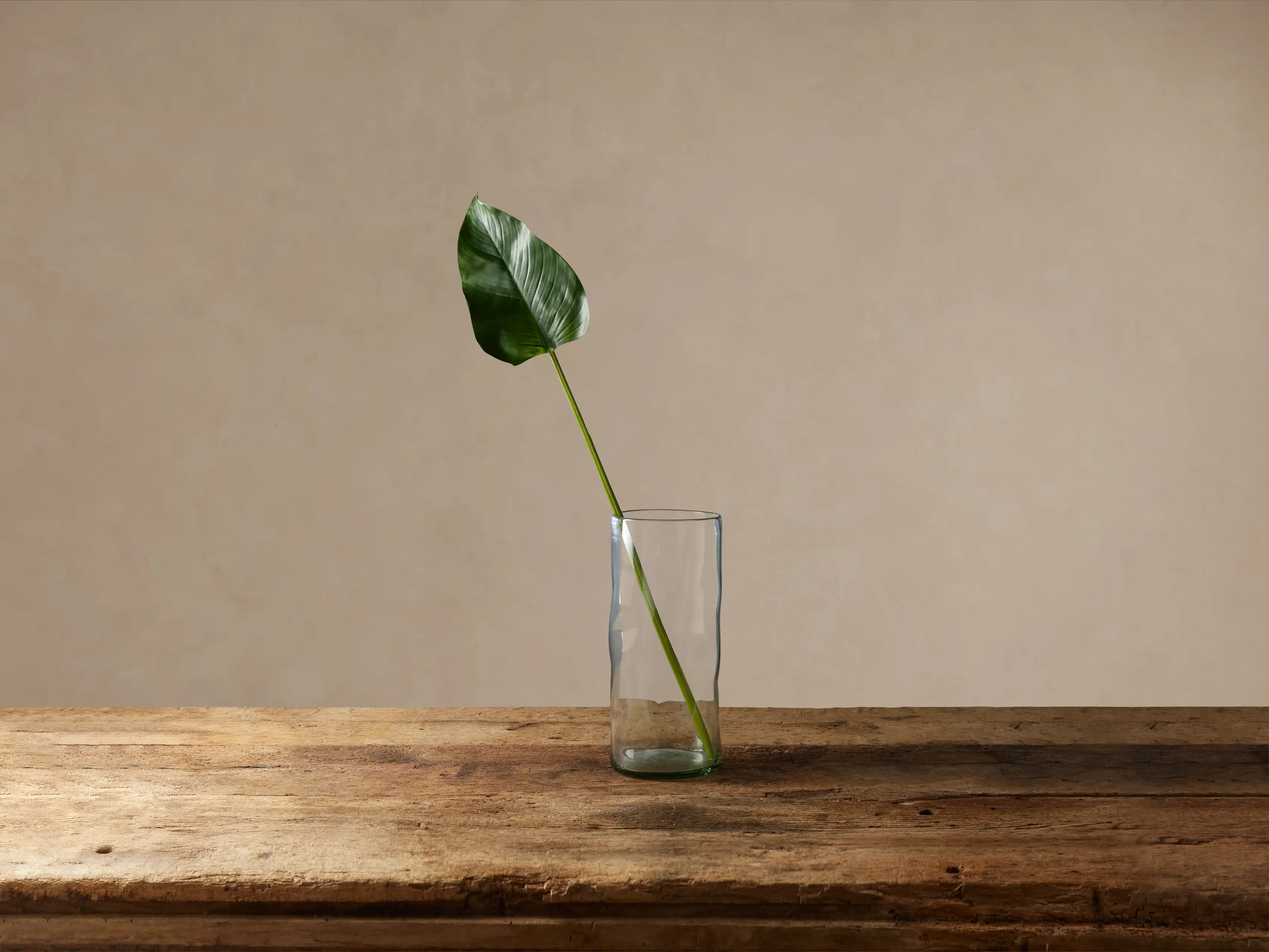 Faux Bird of Paradise Leaf | Arhaus