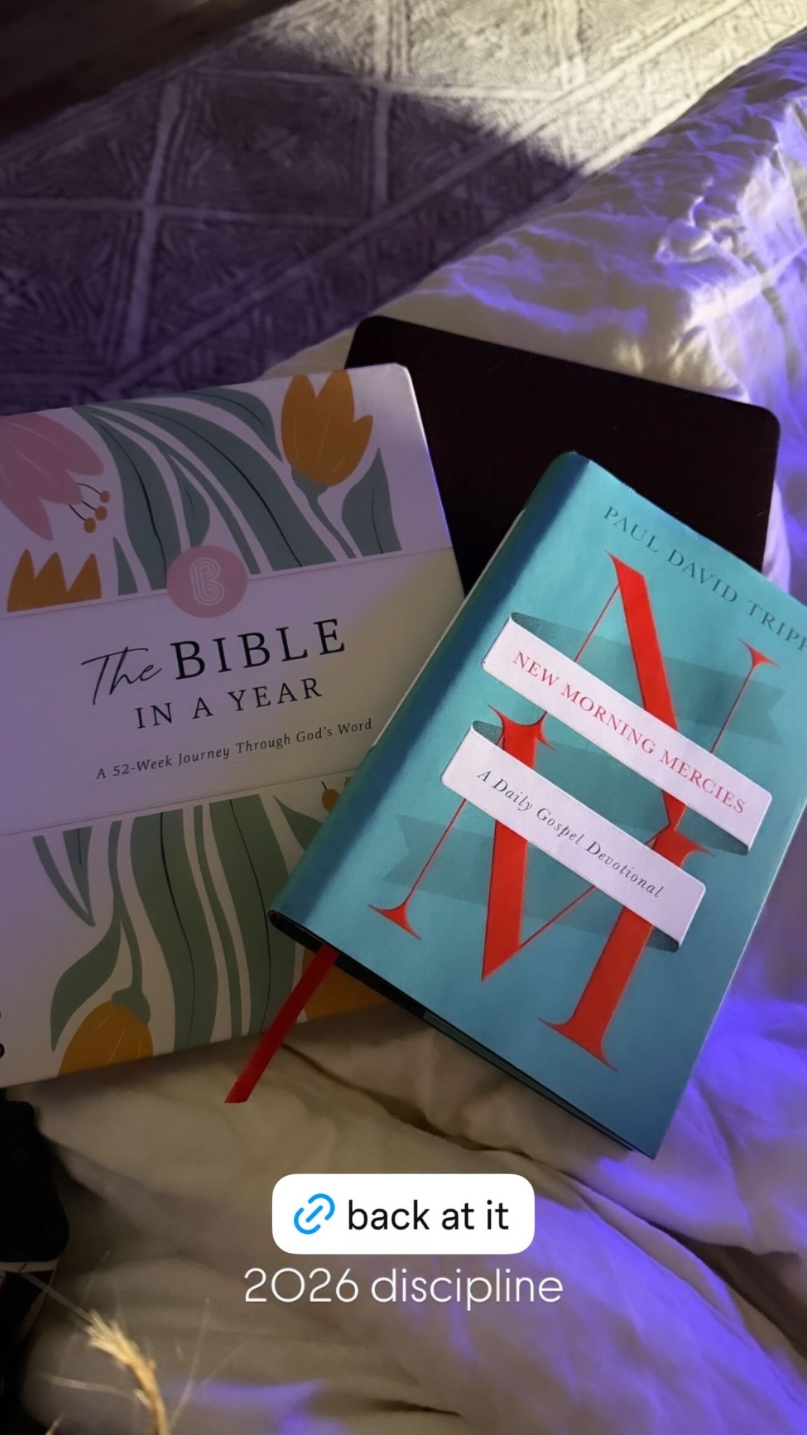 Bible study and devotional I’m doing this year 