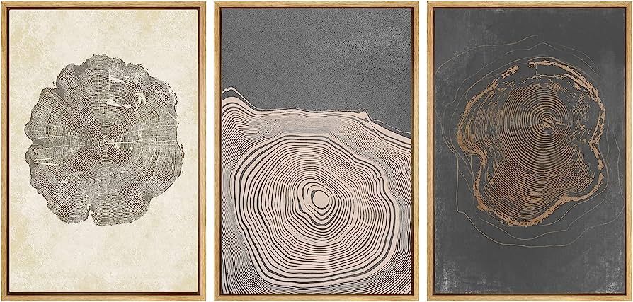 SIGNWIN Framed Canvas Print Wall Art Set Pastel Gray Wood Tree Ring Spirals Nature Abstract Drawi... | Amazon (US)