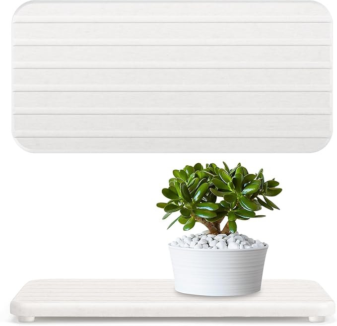 2PCS Water Absorbing Stone Tray,Stone Drying Tray,Diatomite Fast Drying,for Placing Kitchen and B... | Amazon (US)