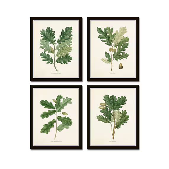 French Oak Leaf Set Botanical Printsbotanical Print Set | Etsy | Etsy (US)