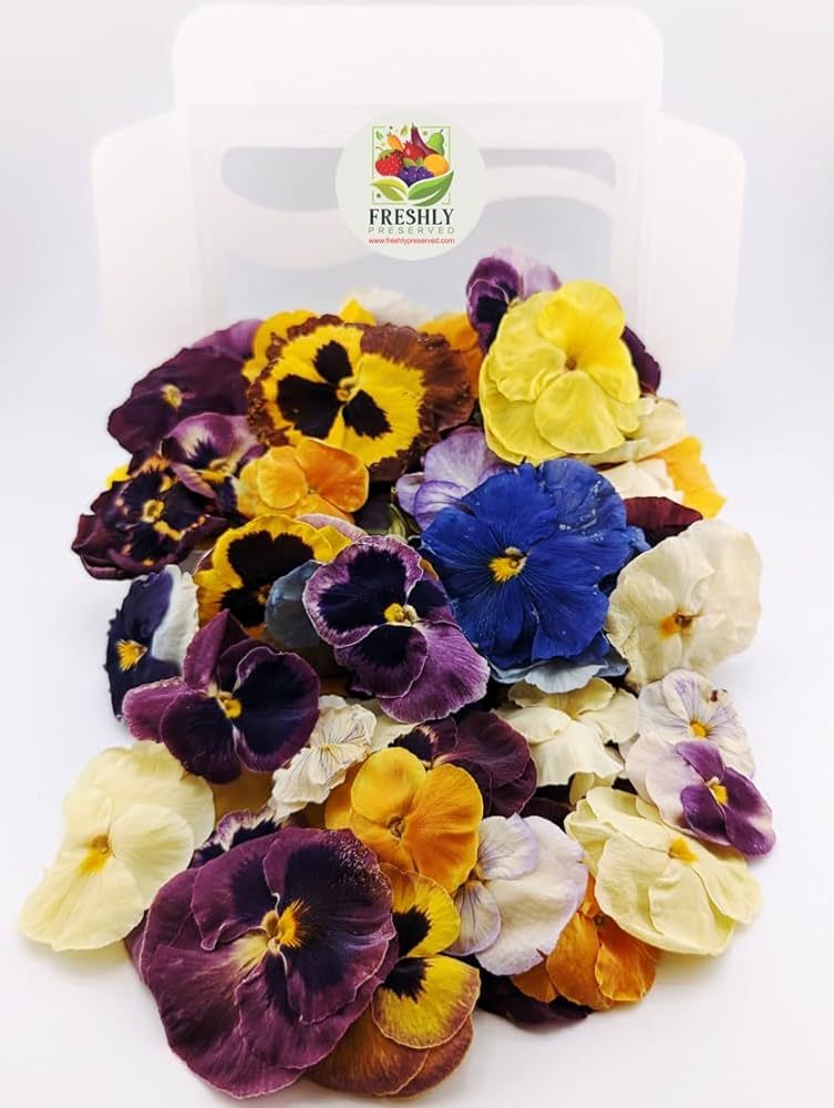 Edible Flower Freshly Preserved Freeze-Dried (0.2 oz) | Edible Pansy |Dried Edible Flowers | Edib... | Amazon (US)