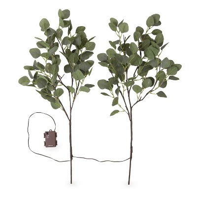 Evergreen Eucalyptus Branch, 32 LED Lights Set of 2 | Target