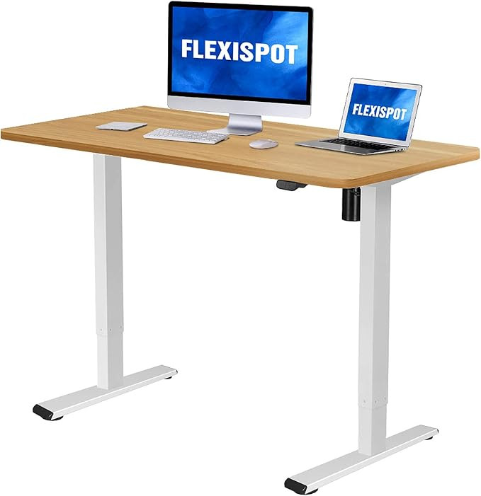 Flexispot EC1 Electric Adjustable Height Standing Desk 48 x 30 Inches Whole Piece Board Sit Stand... | Amazon (US)