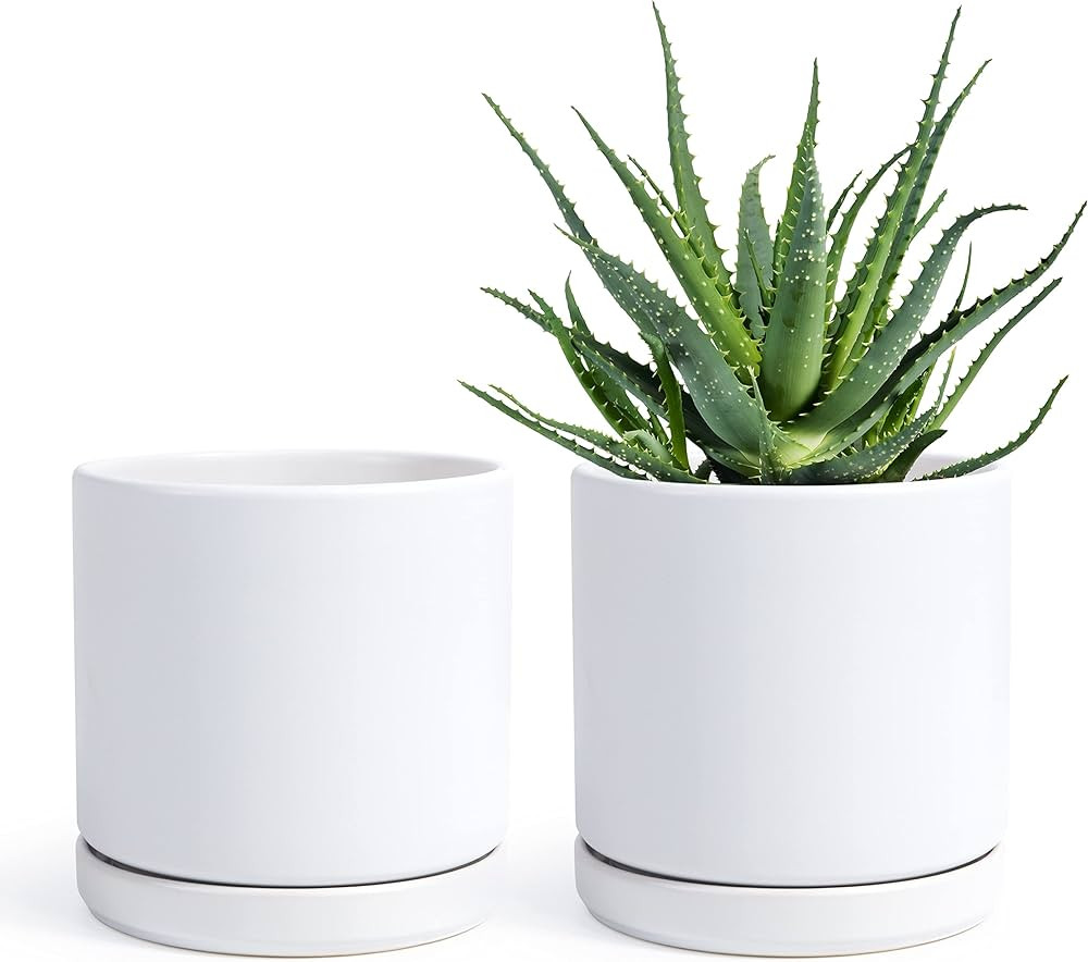 D'vine Dev Set of 2 Plants Pot, 6 Inch Ceramic Planter Pot for Plants with Drainage Hole and Sauc... | Amazon (US)