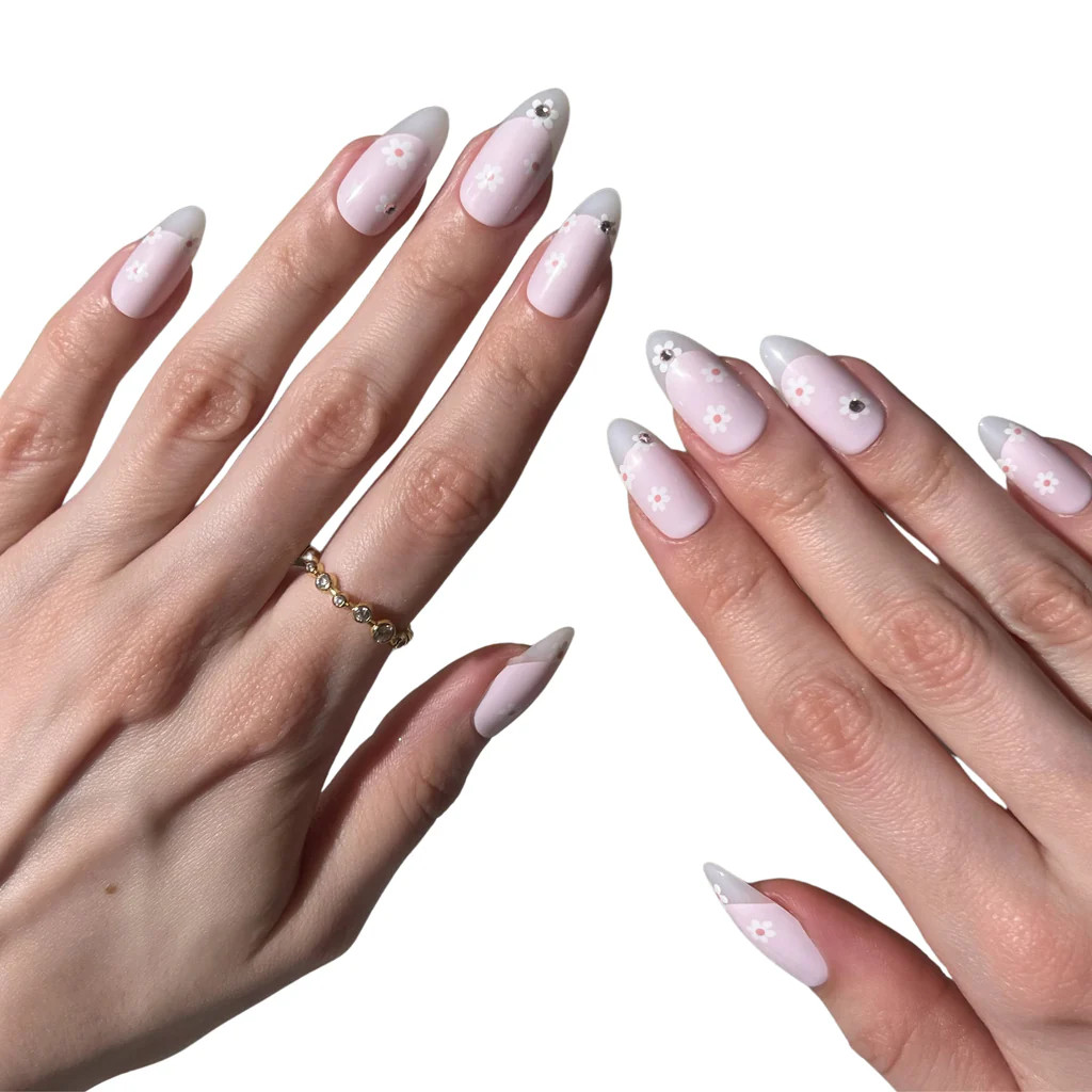 Dainty Daisy | PaintLab