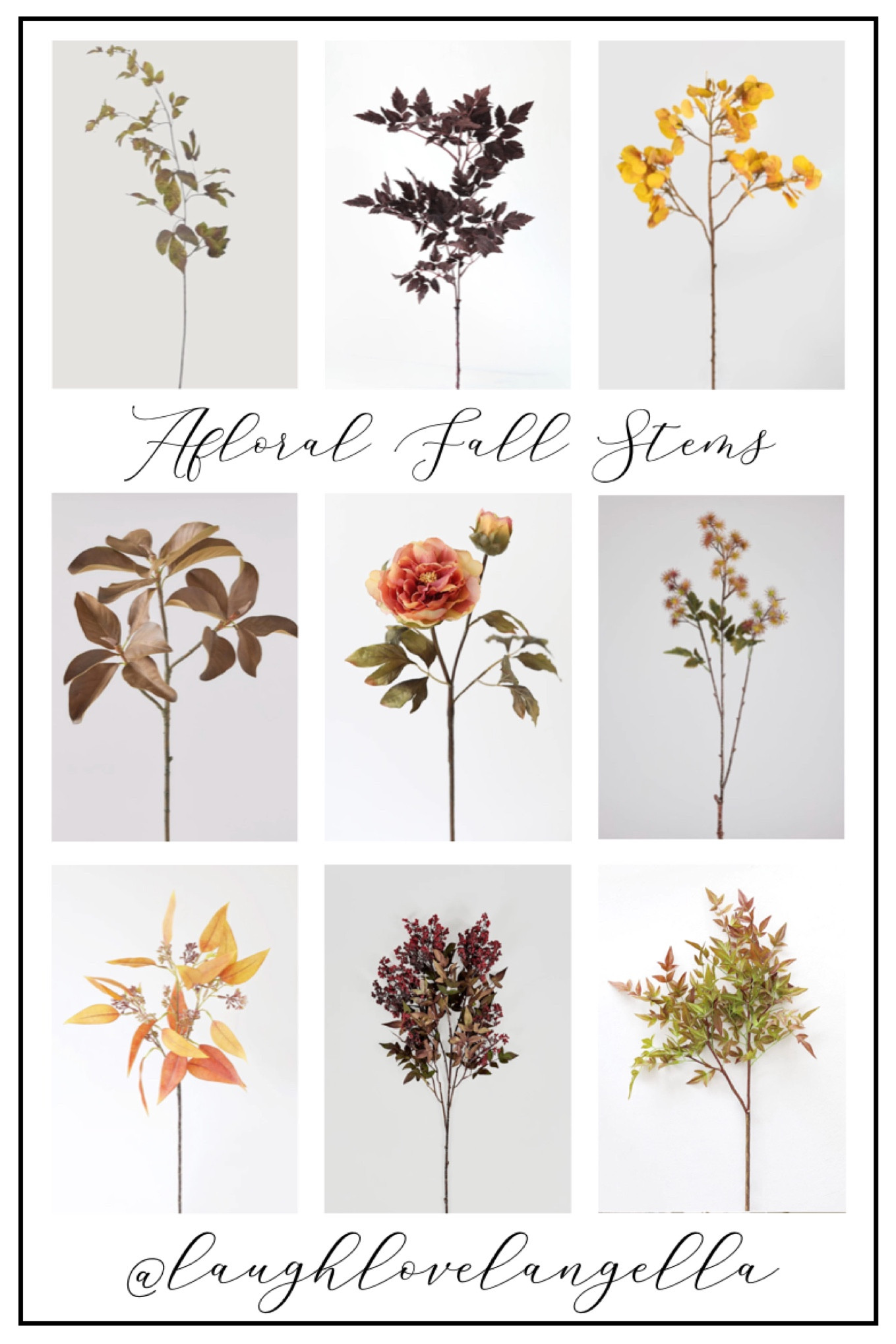 Afloral fall stems 

#LTKhome #LTKSeasonal